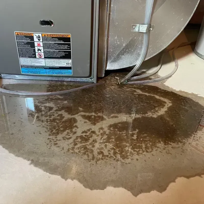 Appliance Leak Cleanup in College Park, MD